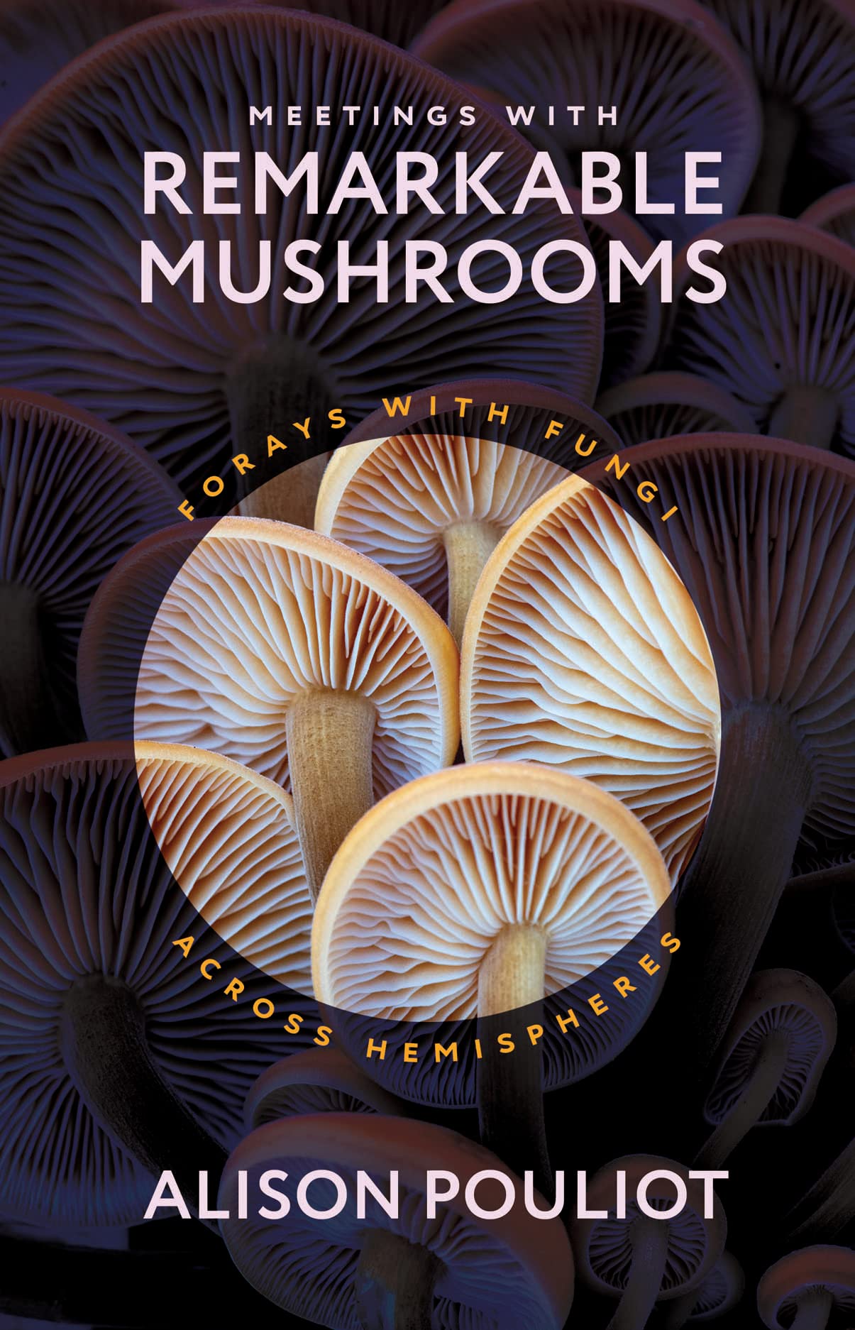 Meetings With Remarkable Mushrooms: Forays With Fungi Across Hemispheres,Used