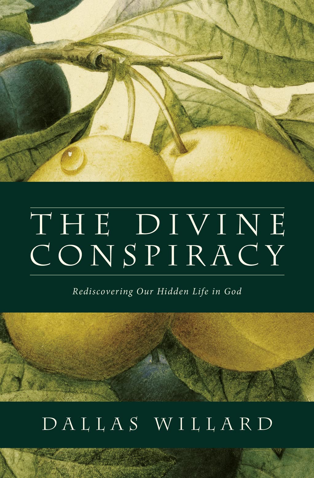DIVINE CONSPIRACY PB,Used