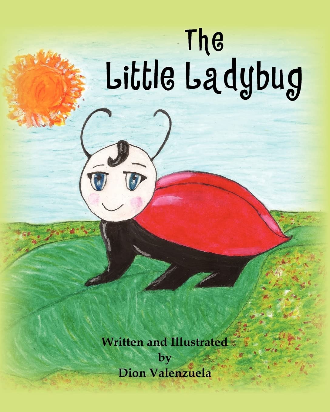 The Little Lady Bug,Used