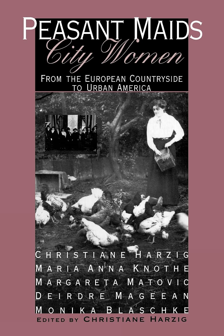 Peasant Maids, City Women: From the European Countryside to Urban America,New
