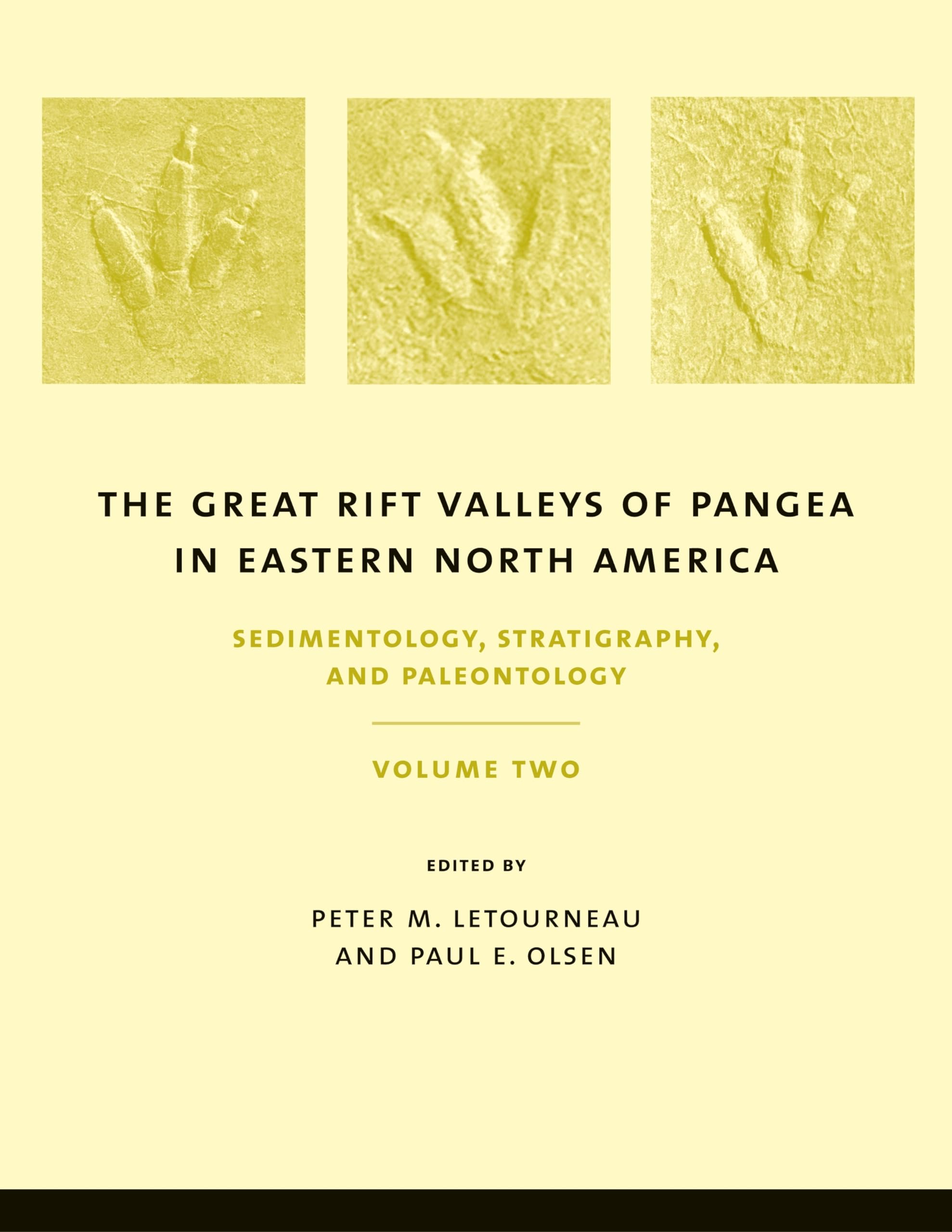 The Great Rift Valleys of Pangea in Eastern North America, Volume I: Tectonics, Structure, and Volcanism,New