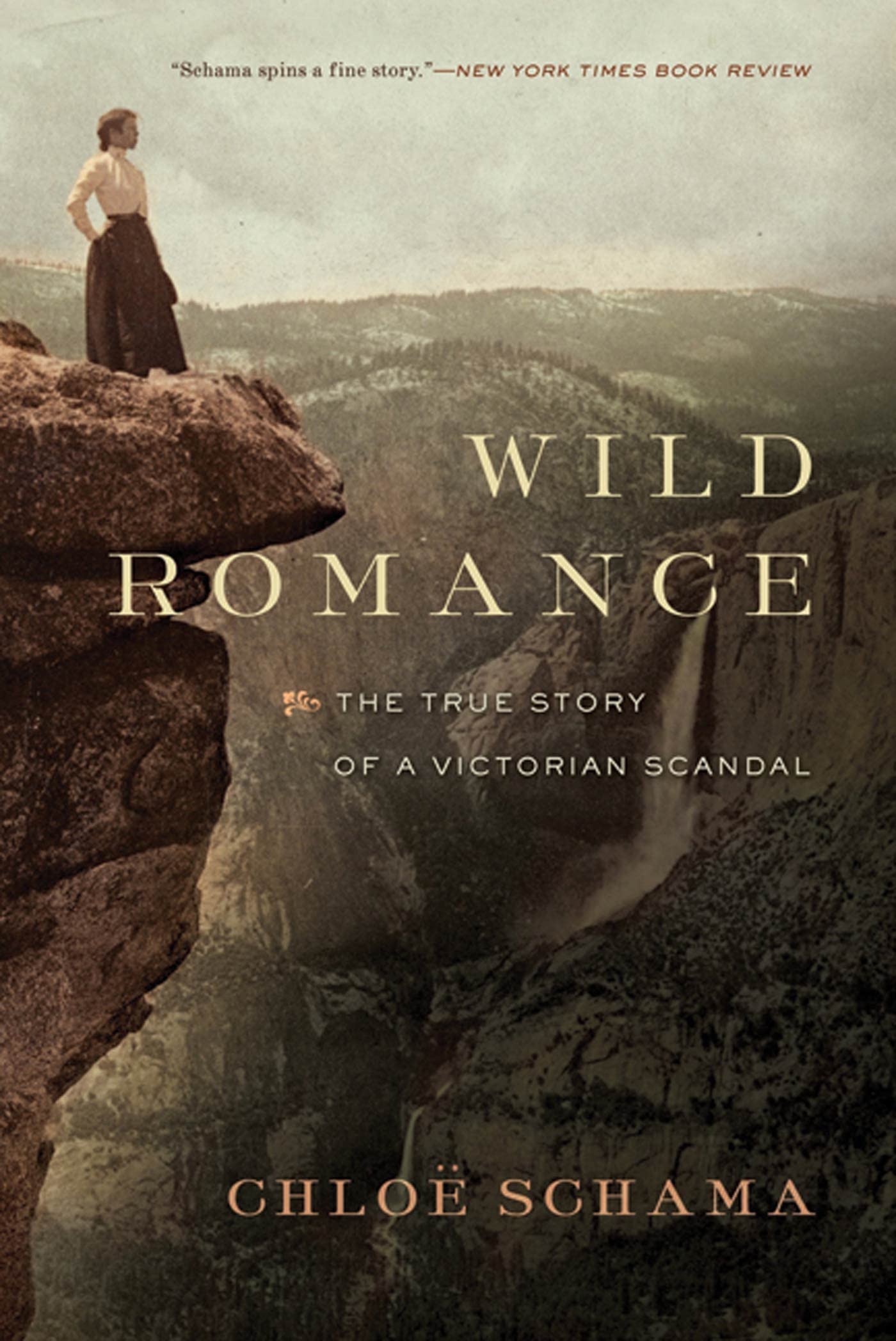 Wild Romance: A Victorian Story of a Marriage, a Trial, and a SelfMade Woman,Used