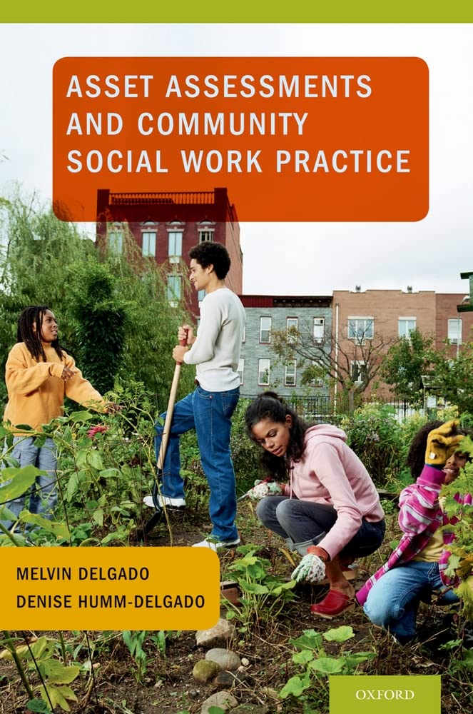 Asset Assessments and Community Social Work Practice,Used