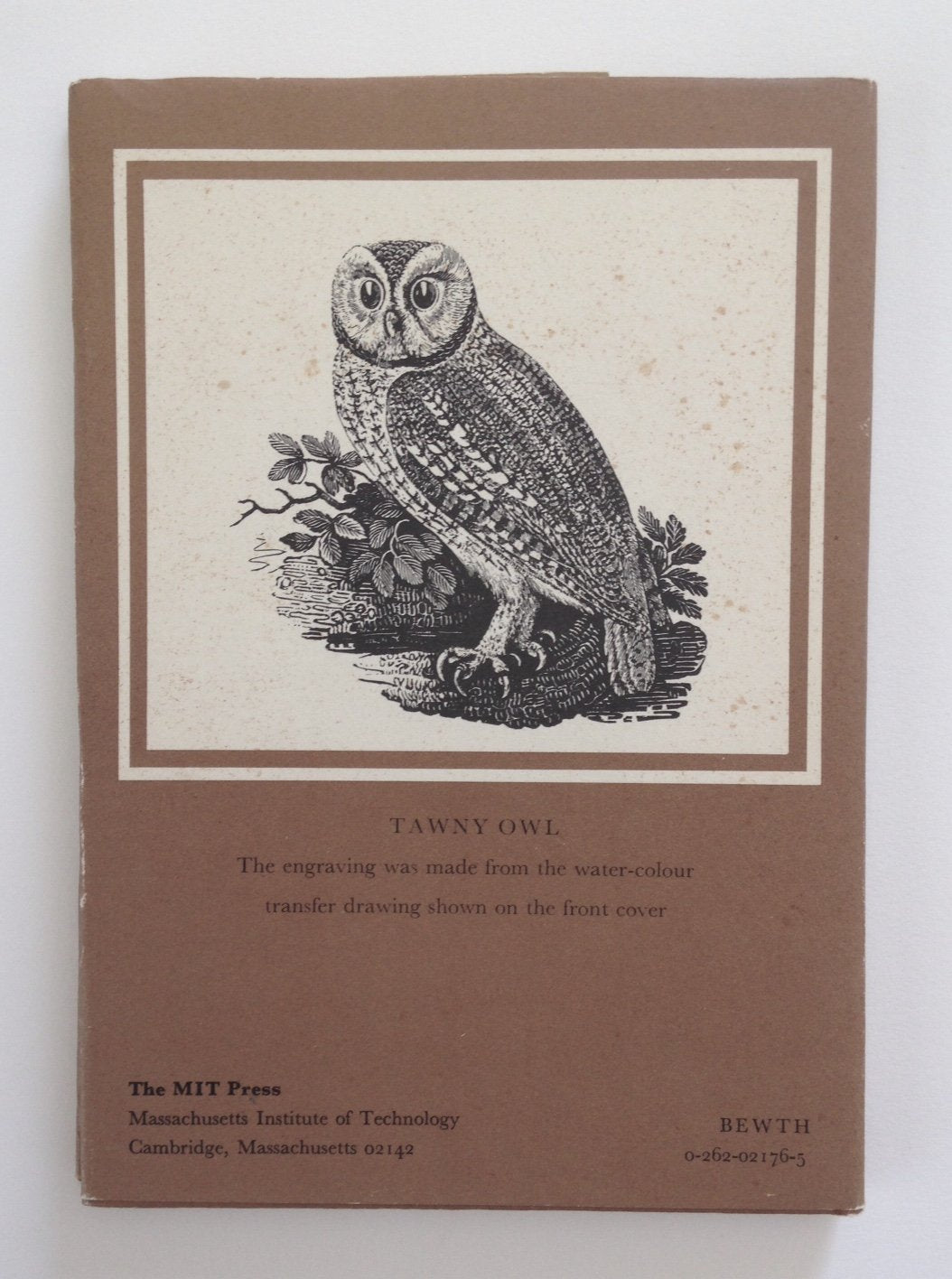 Thomas Bewick's Birds: Watercolours and Engravings,Used