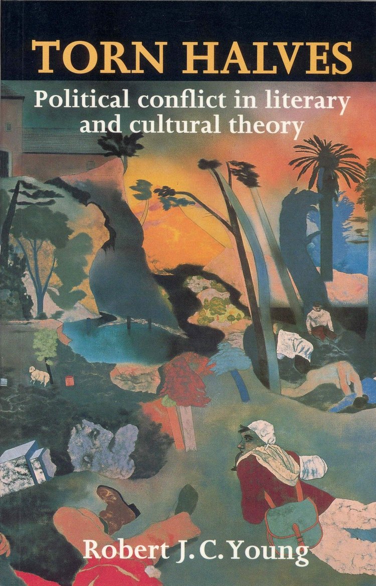Torn Halves: Political Conflict In Literary And Cultural Theory,Used