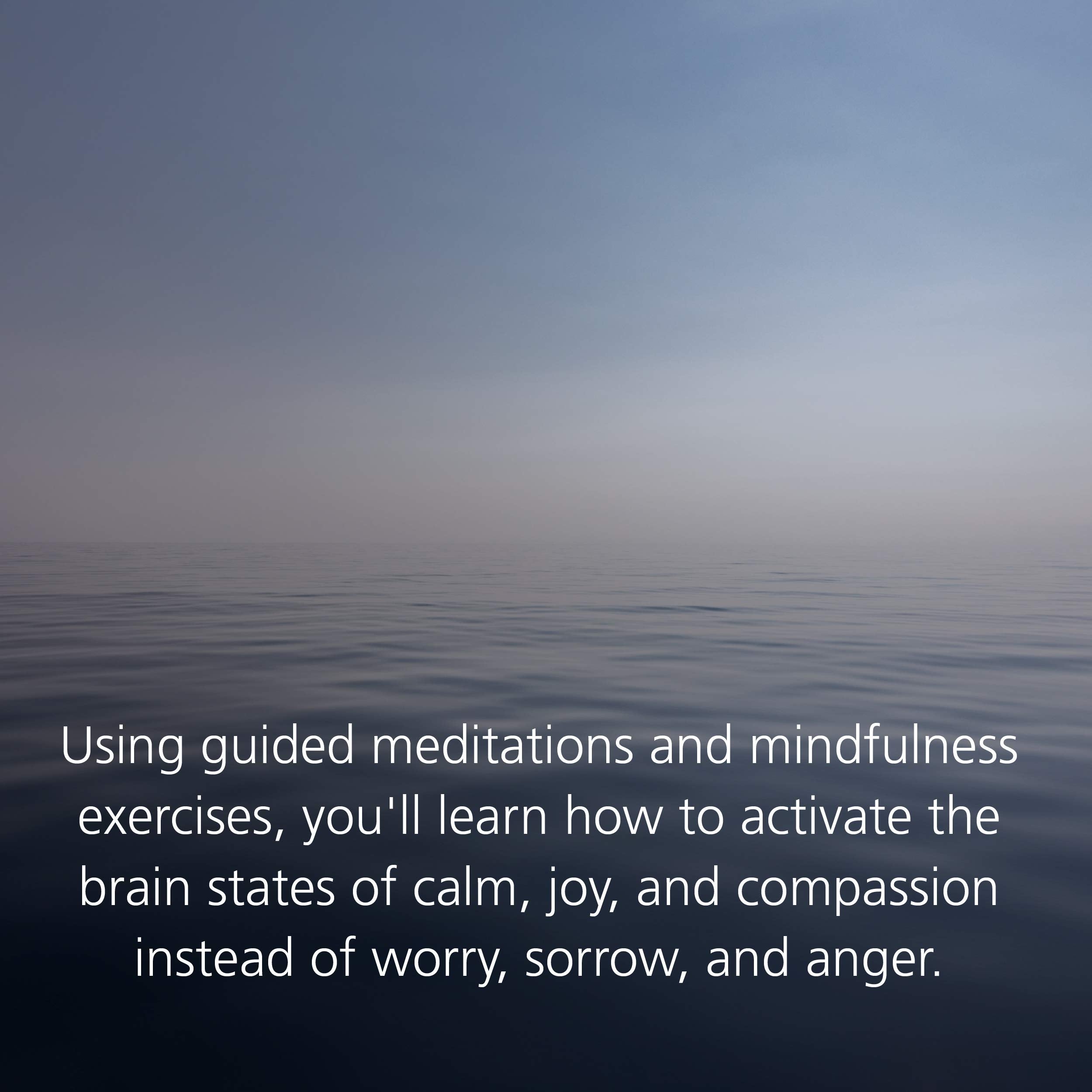 Buddha's Brain: The Practical Neuroscience of Happiness, Love, and Wisdom,New