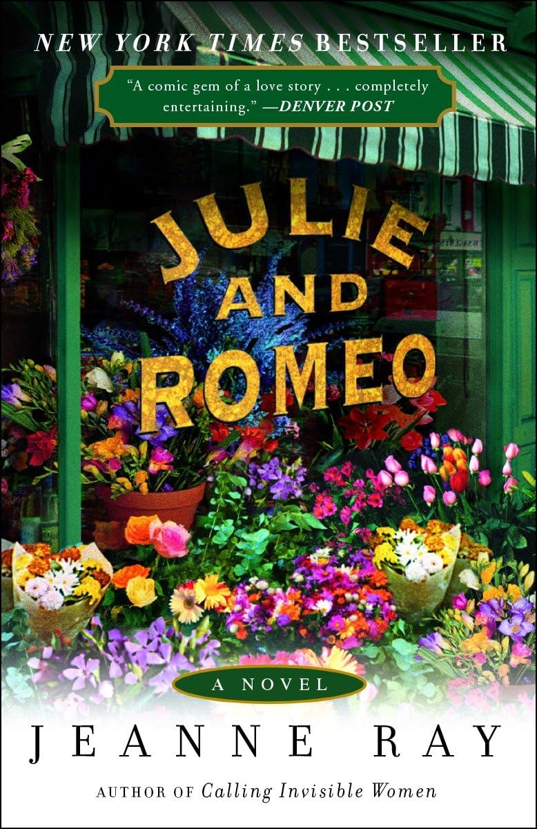 Julie and Romeo: A Novel,Used