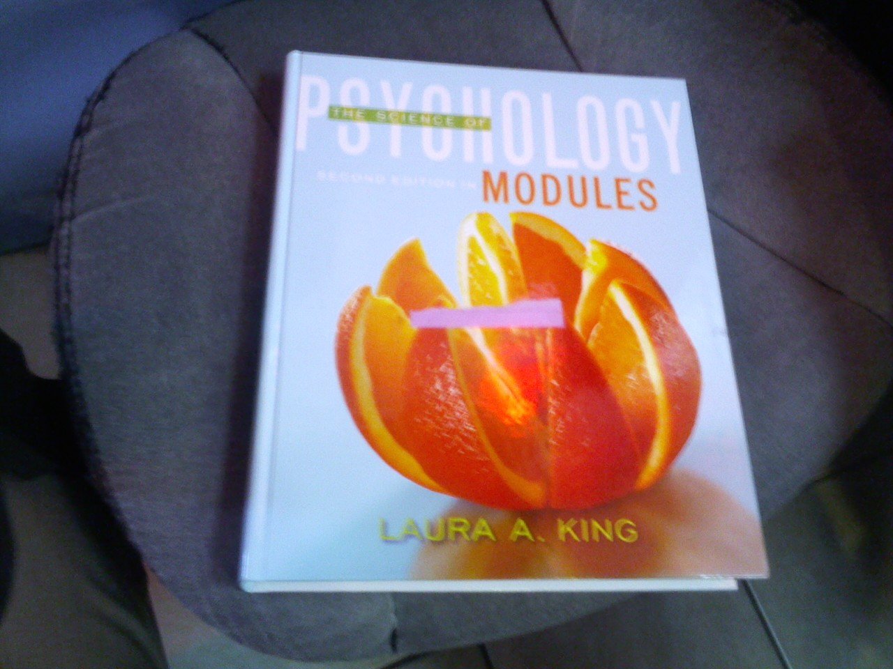 The Science of Psychology: Modules, 2nd Edition,Used