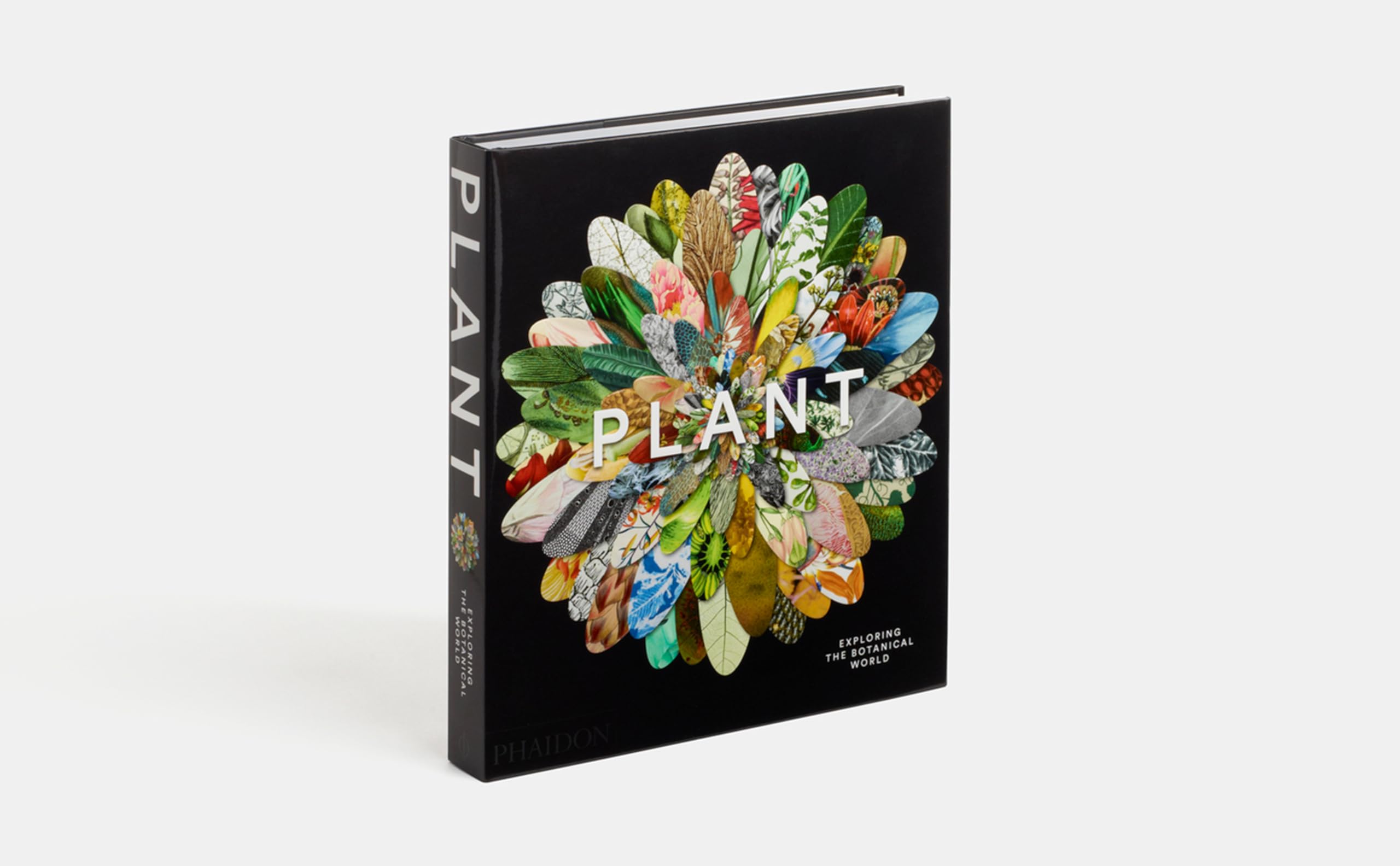 Plant: Exploring The Botanical World,Used