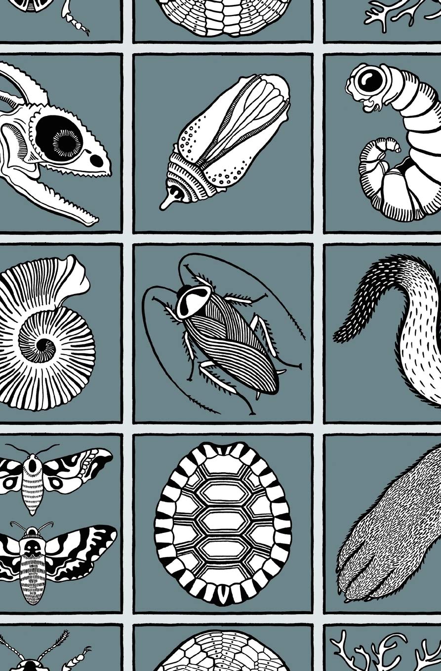 The Secret Life of the Panda,Used