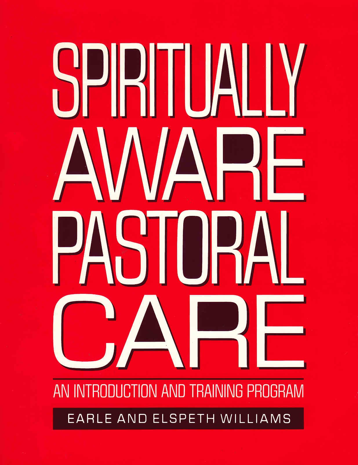 Spiritually Aware Pastoral Care: An Introduction and Training Program,Used