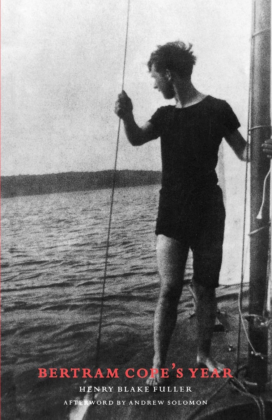 Bertram Cope's Year,New