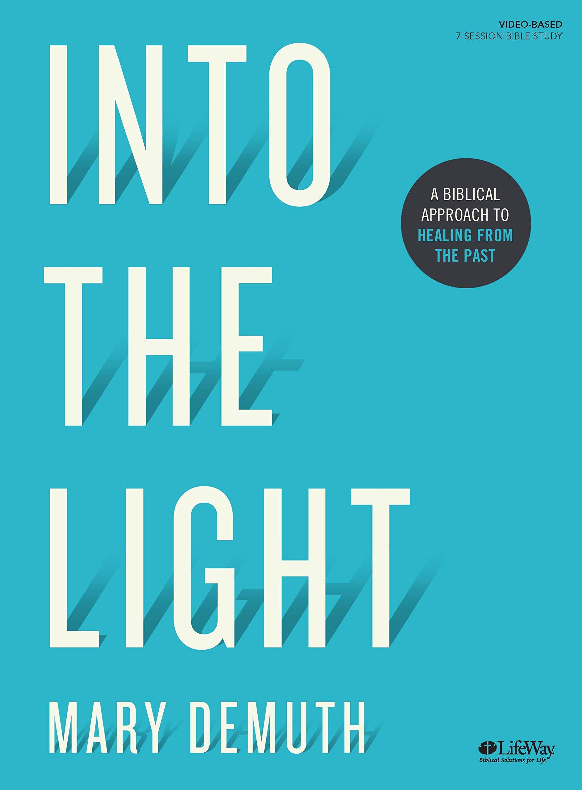 Into the Light  Bible Study Book: A Biblical Approach to Healing from the Past,Used