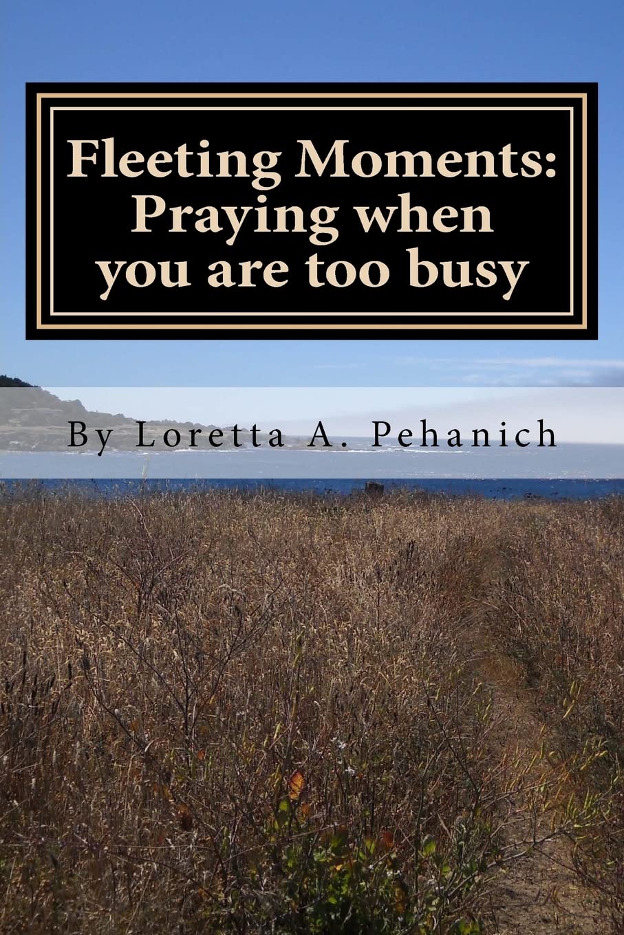 Fleeting Moments: Praying When You Are Too Busy,Used
