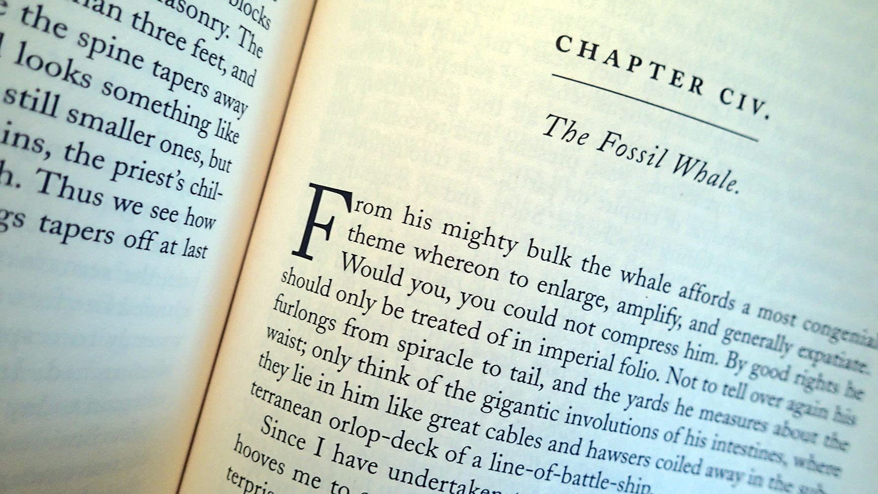 MobyDick (Barnes & Noble Classics Series),Used
