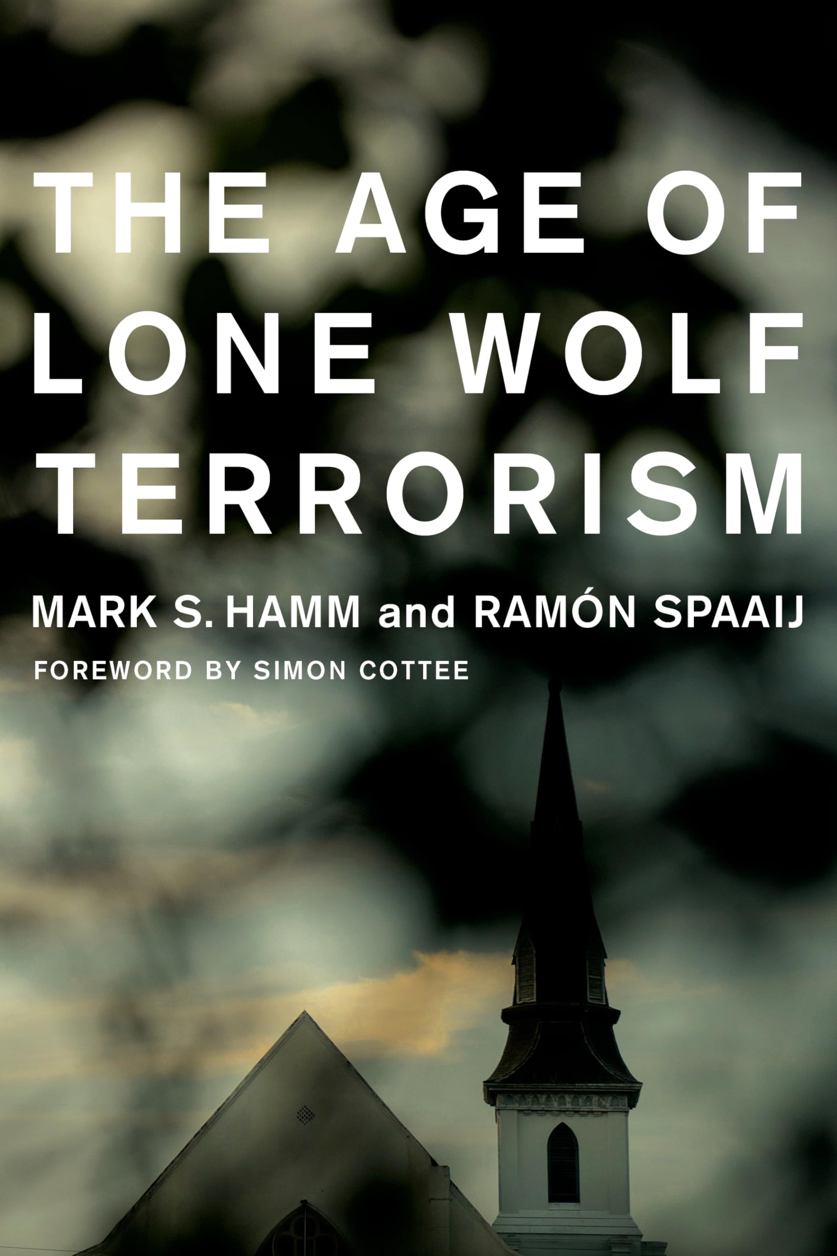 The Age of Lone Wolf Terrorism (Studies in Transgression),Used