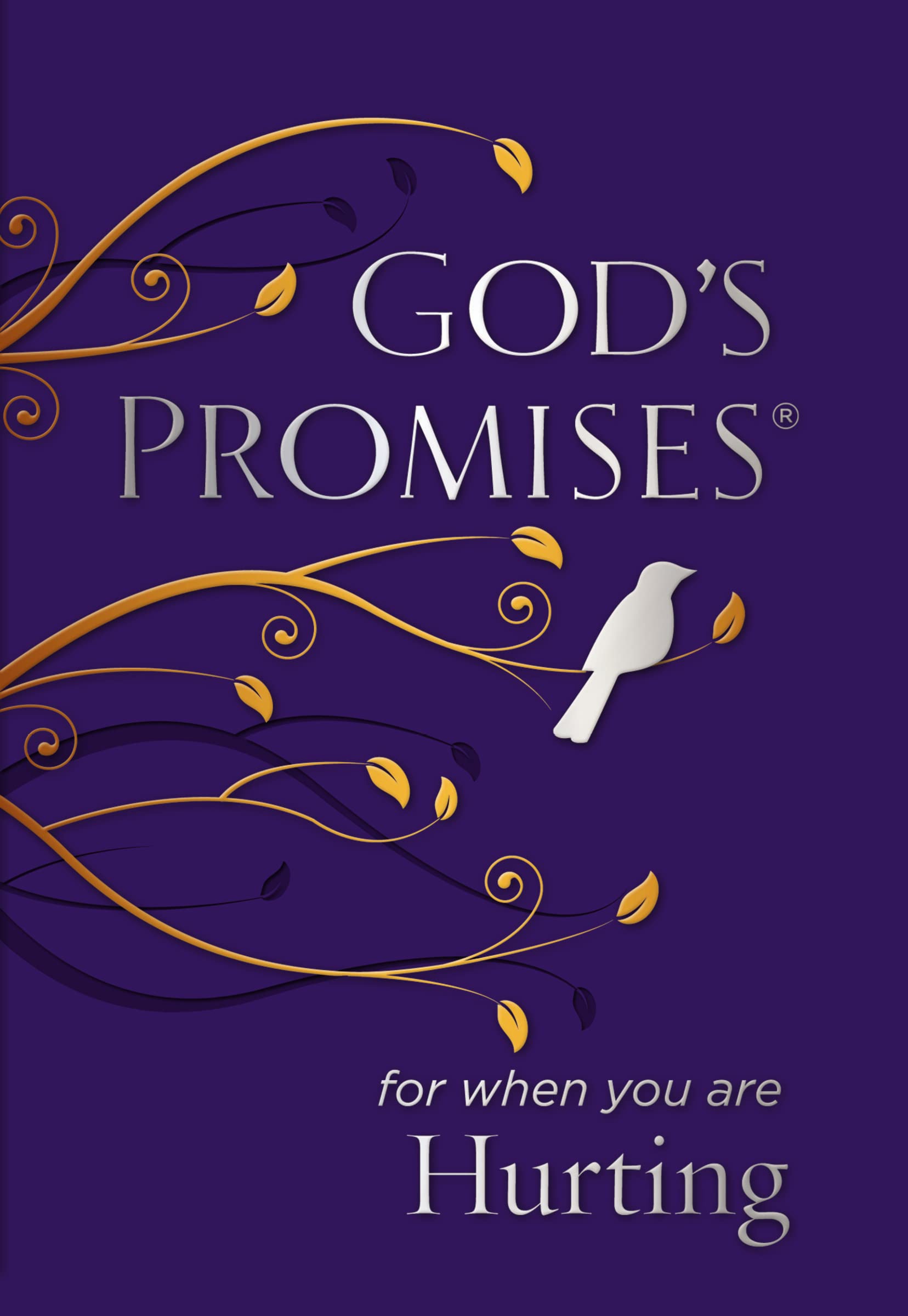 God'S Promises For When You Are Hurting: Bible Verses Of Hope And Healing