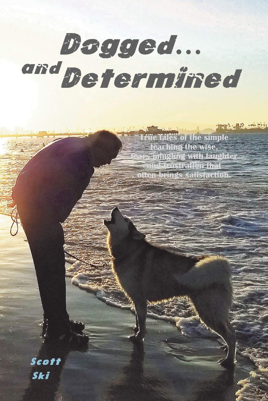 Dogged and Determined: True Tales of Rescued Dogs and Cats... And The Lessons They Taught (Taz Adventures),Used