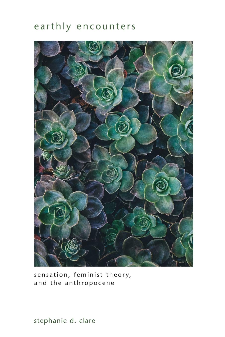 Earthly Encounters: Sensation, Feminist Theory, and the Anthropocene (SUNY series in Gender Theory),Used