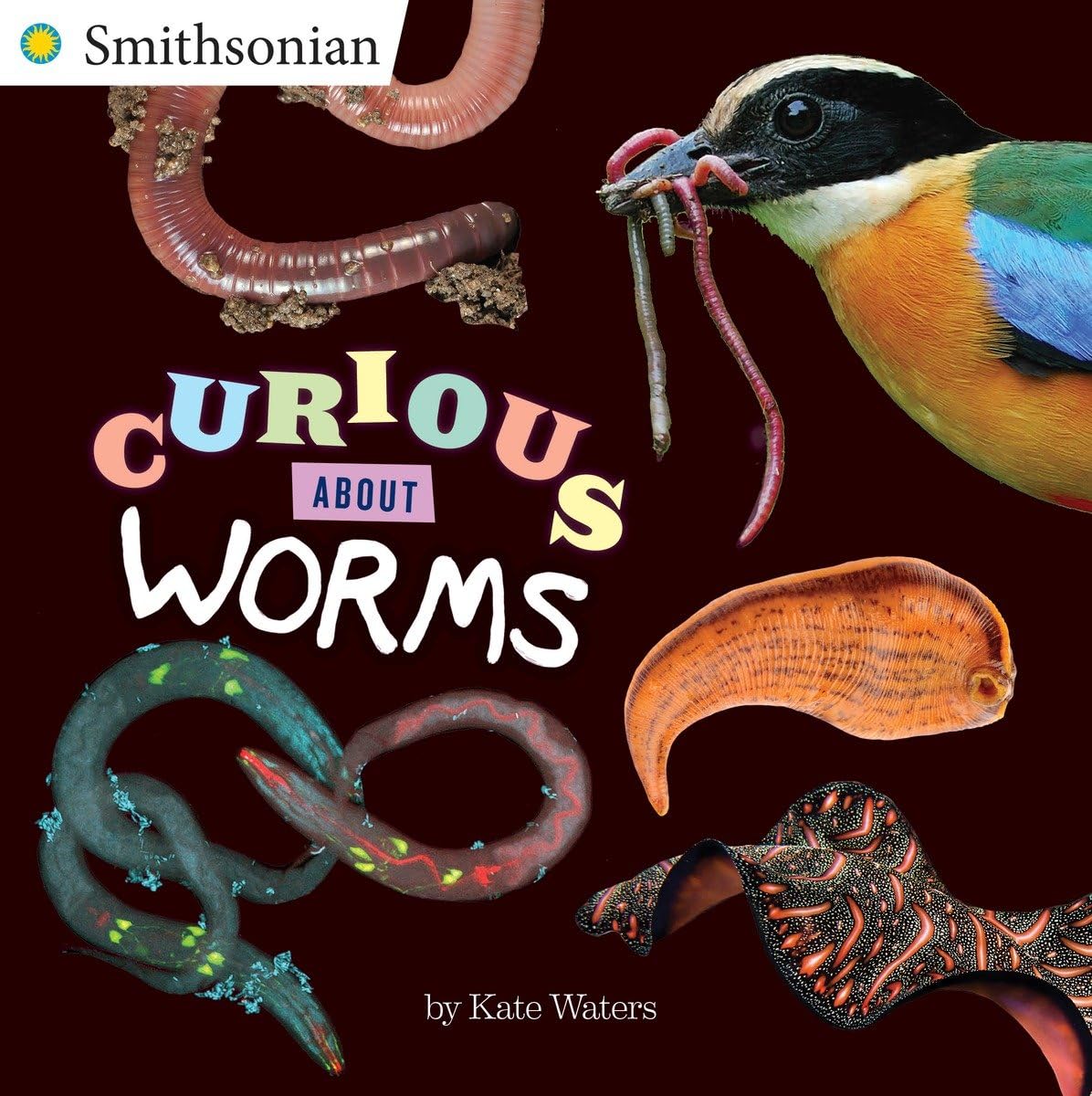 Curious About Worms (Smithsonian),Used