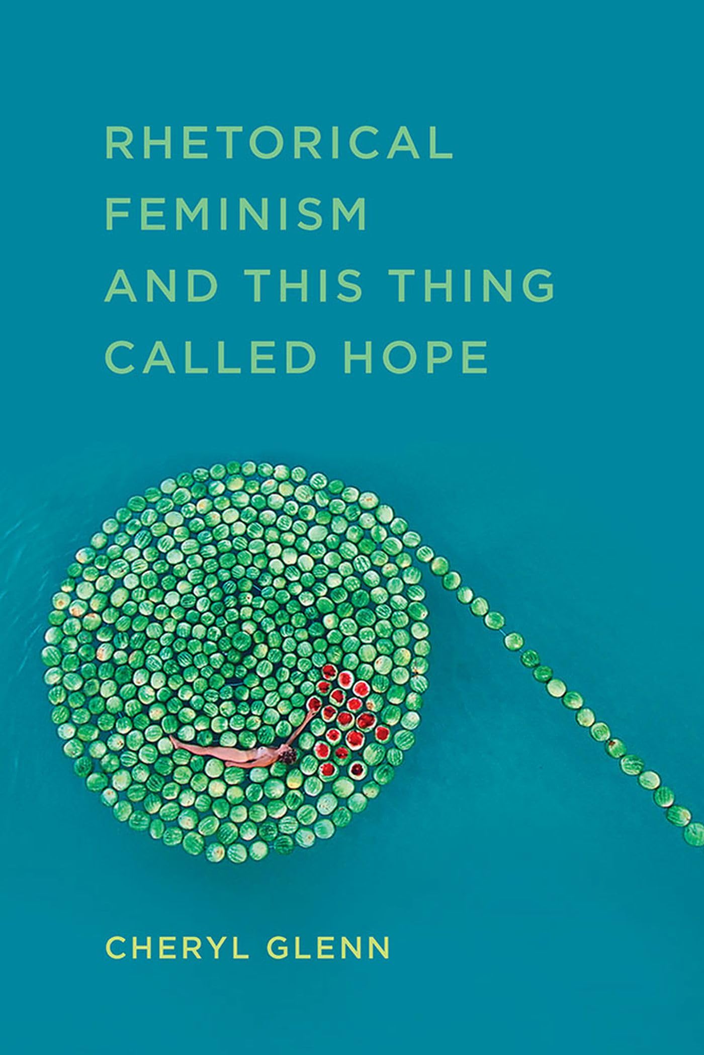 Rhetorical Feminism And This Thing Called Hope (Studies In Rhetorics And Feminisms),Used