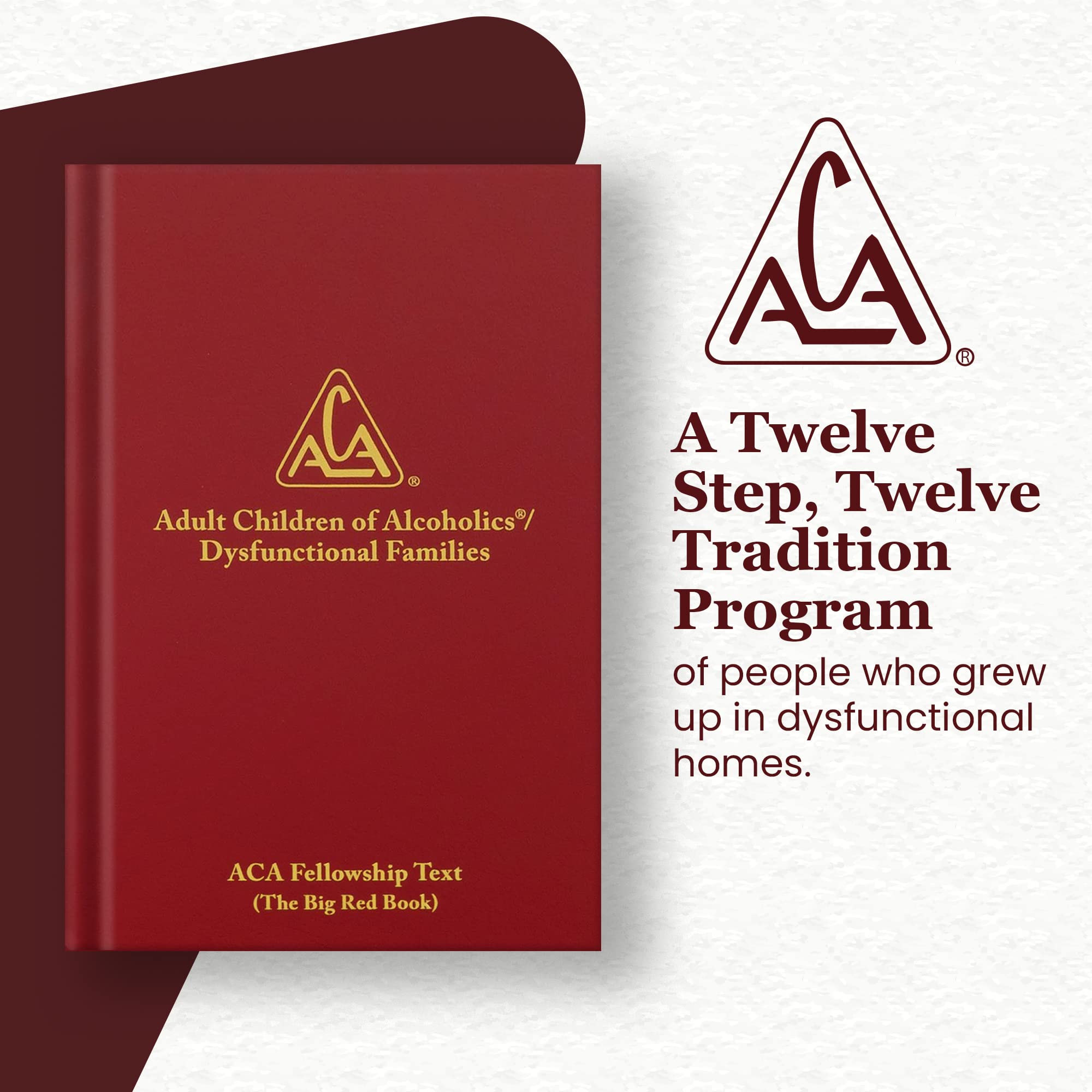 Adult Children: Alcoholic / Dysfunctional Families,Used