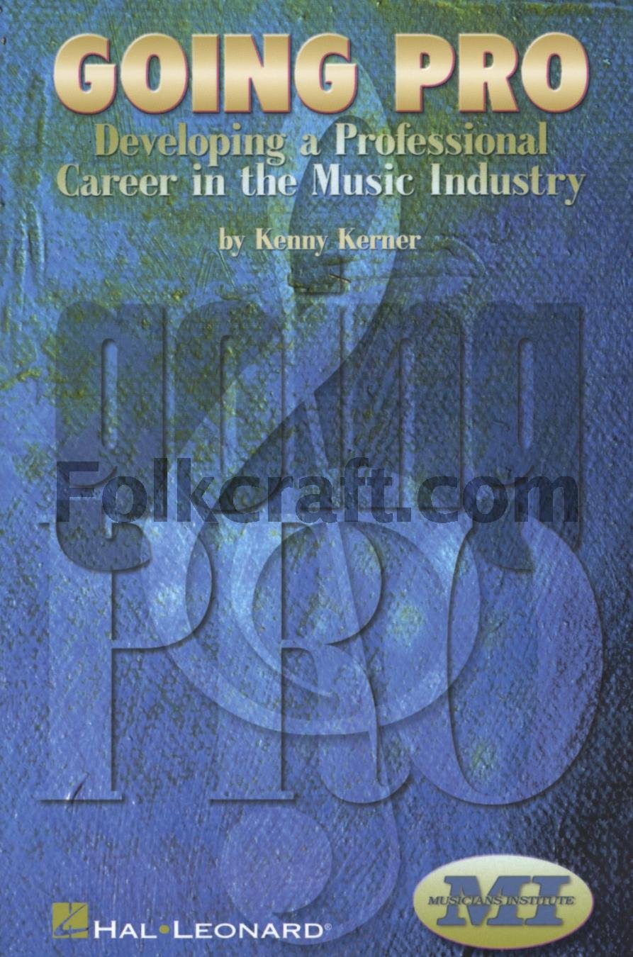 Going Pro: Developing A Professional Career In The Music Industry,New