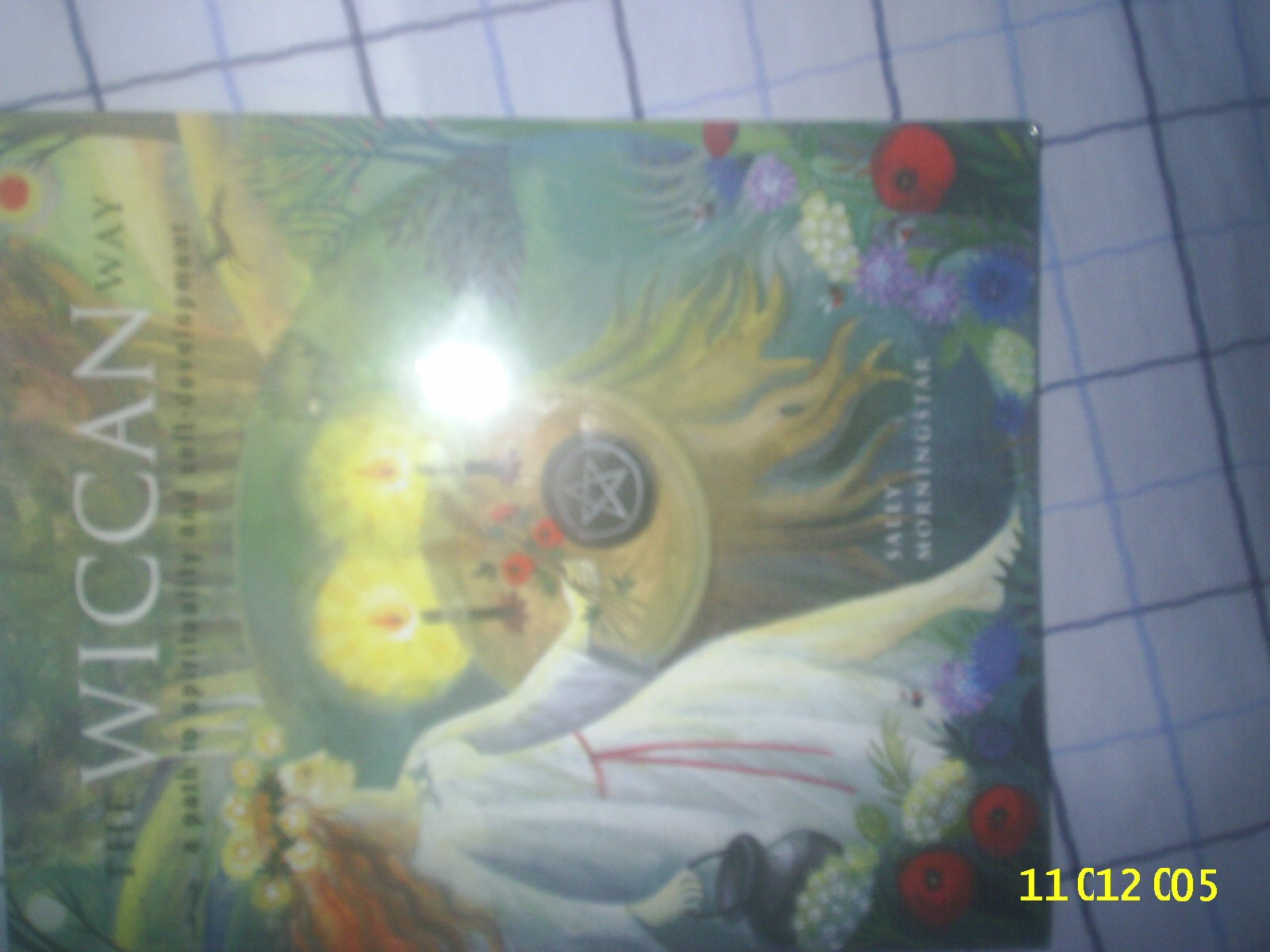 The Wiccan Way: A Path To Spirituality And Selfdevelopment,Used
