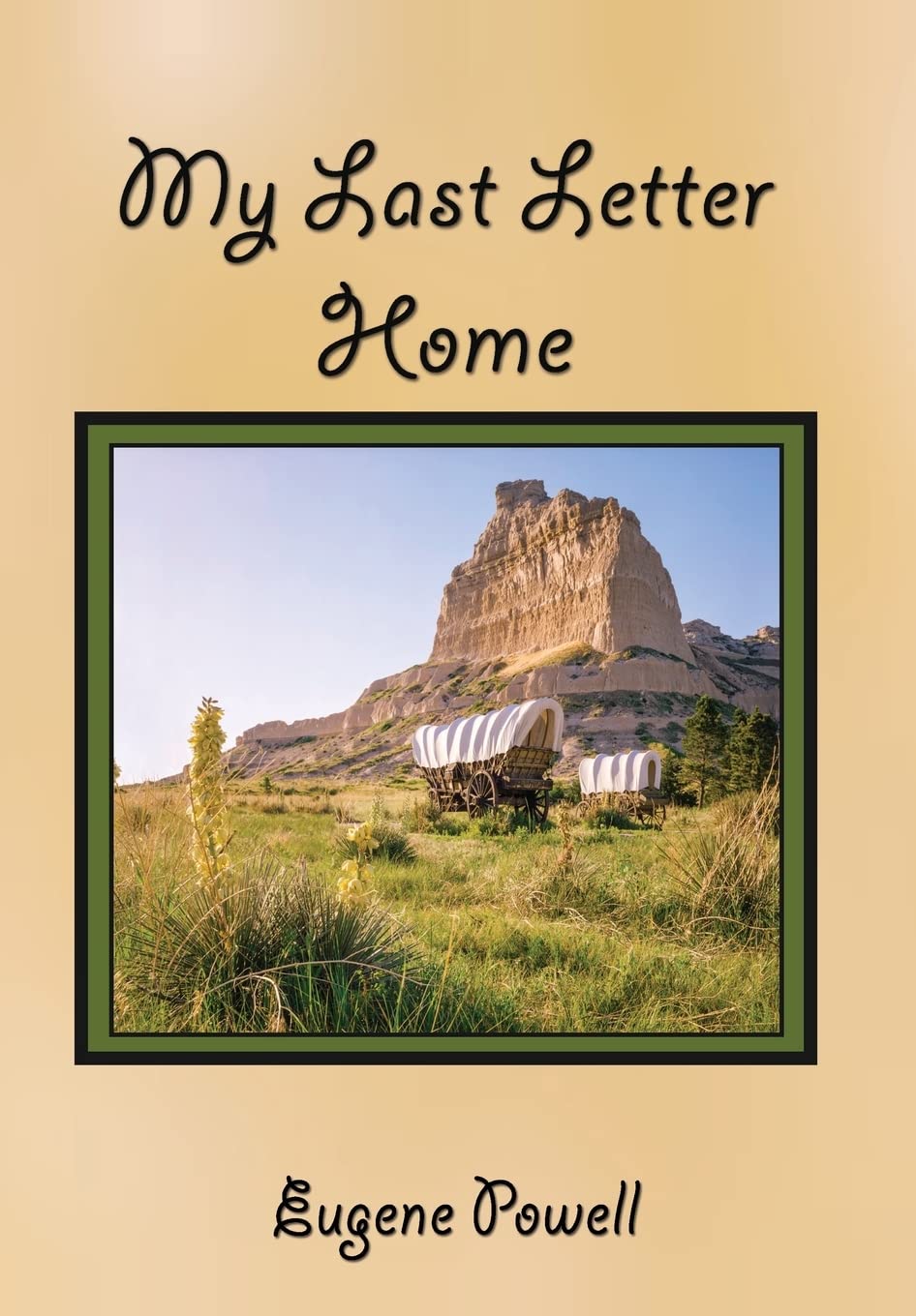 My Last Letter Home,Used