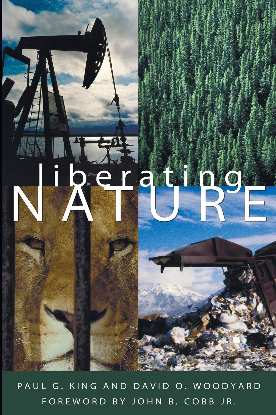 Liberating Nature: Theology And Economics In A New Order,Used
