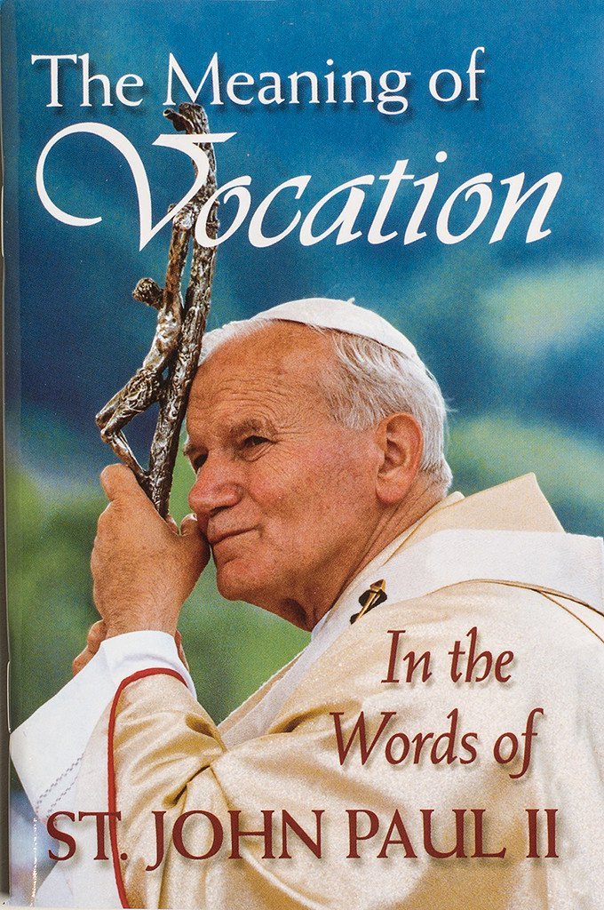 The Meaning of Vocation,Used