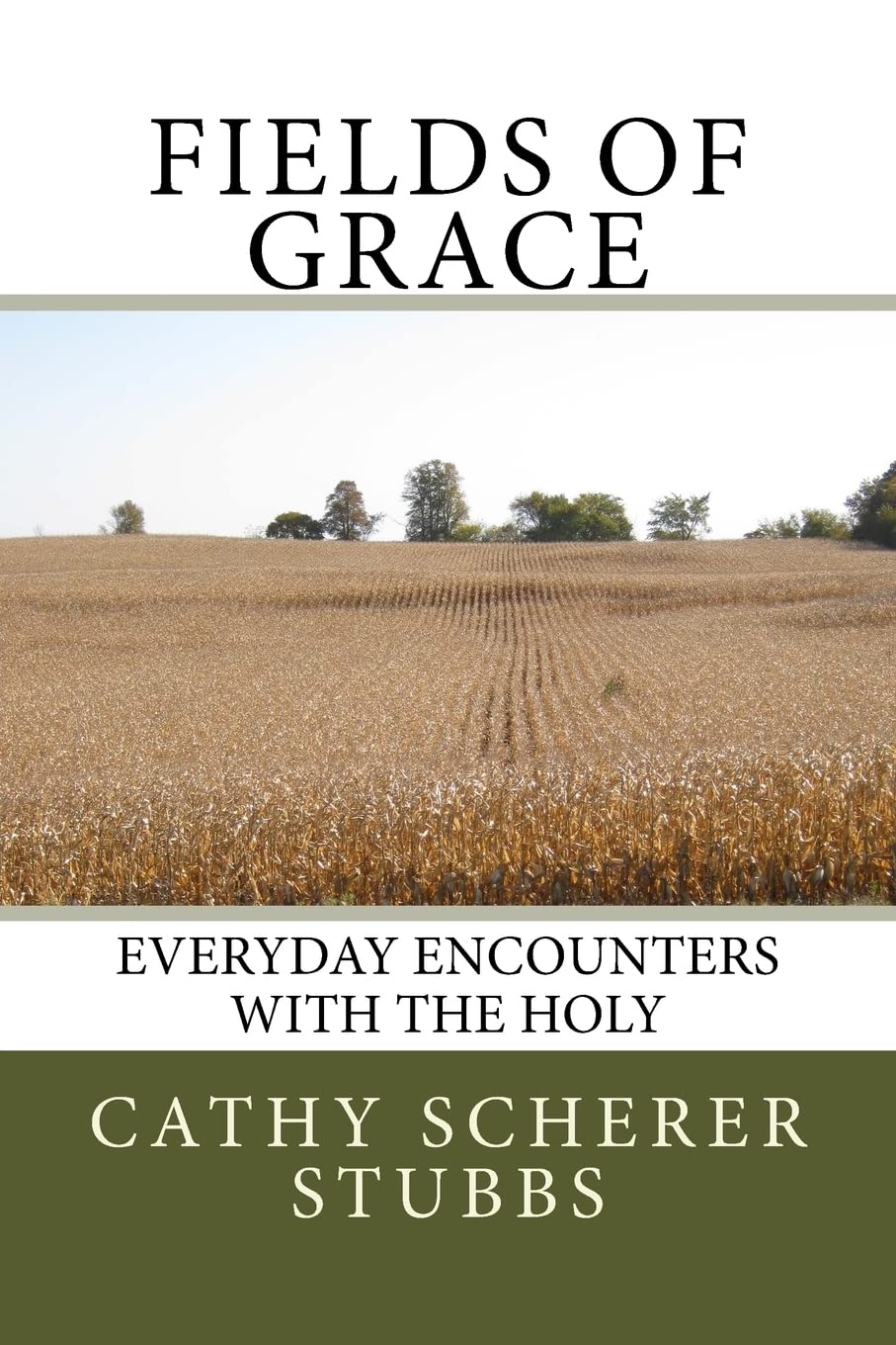 Fields Of Grace: Everyday Encounters With The Holy,Used