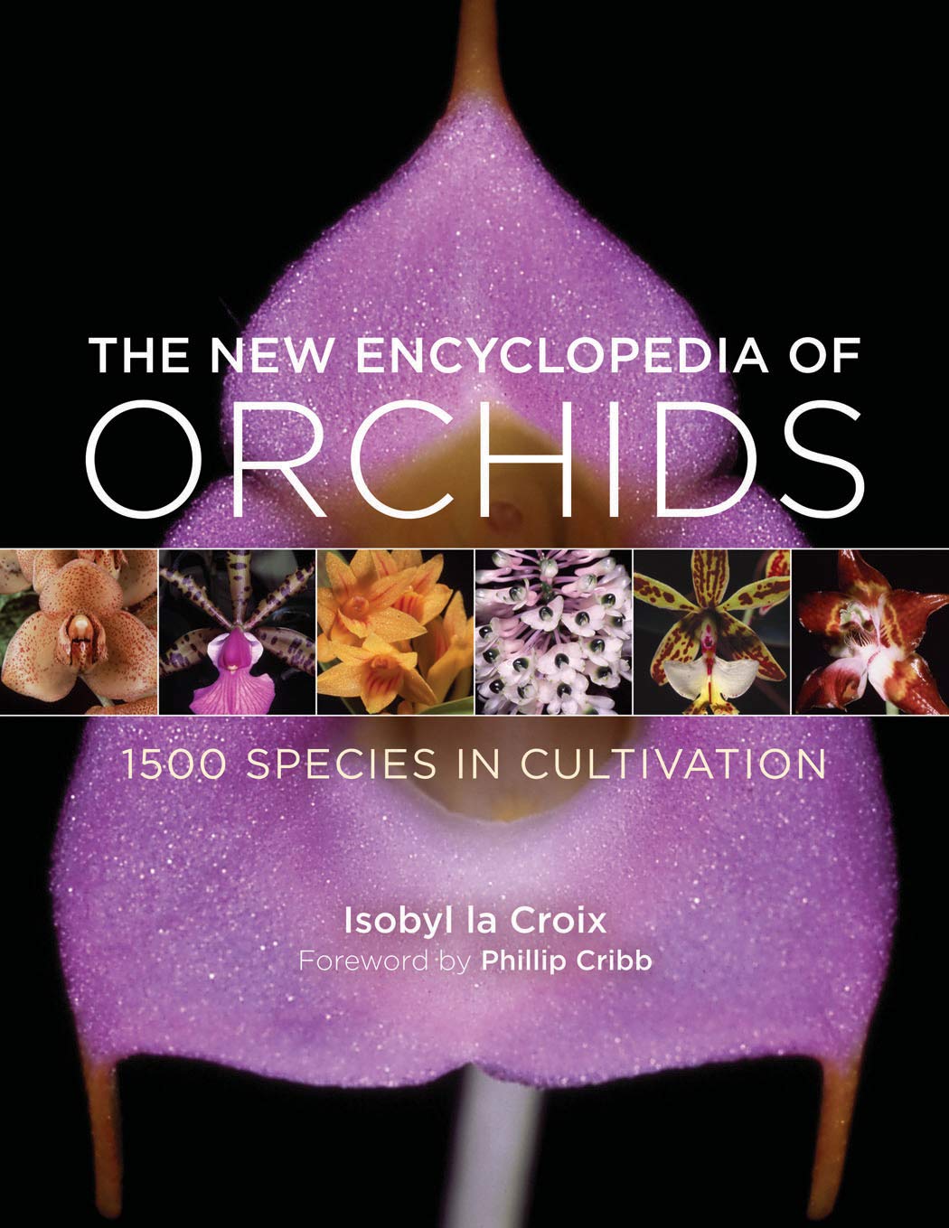 The New Encyclopedia of Orchids: 1500 Species in Cultivation,New
