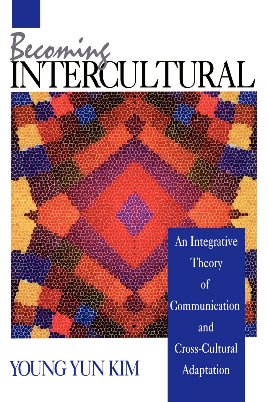 Becoming Intercultural: An Integrative Theory Of Communication And Crosscultural Adaptation,Used