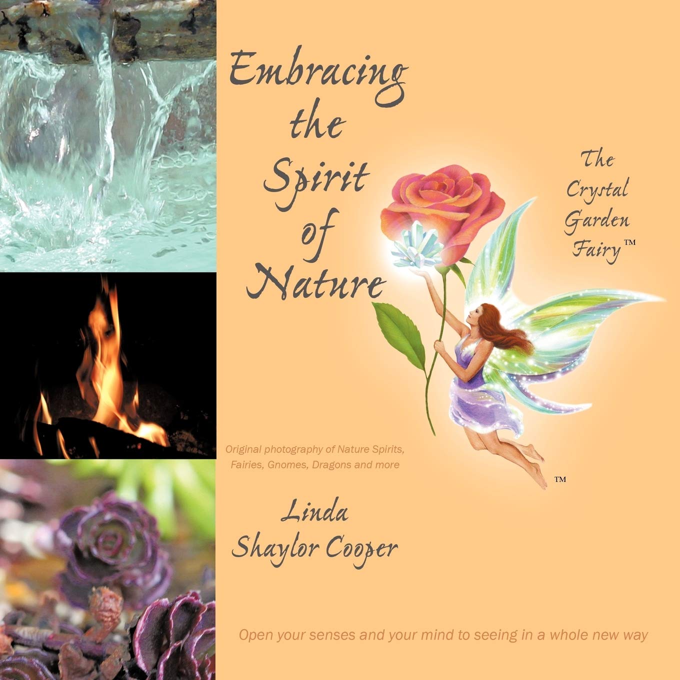 Embracing the Spirit of Nature,Used