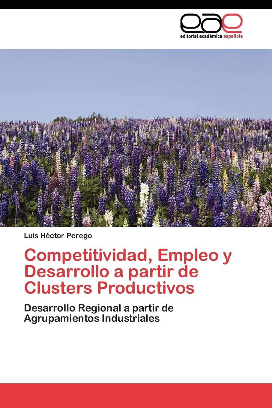 Competitividad, Empleo y Desarrollo a partir de Clusters Productivos: Desarrollo Regional a partir de Agrupamientos Industriales,Used