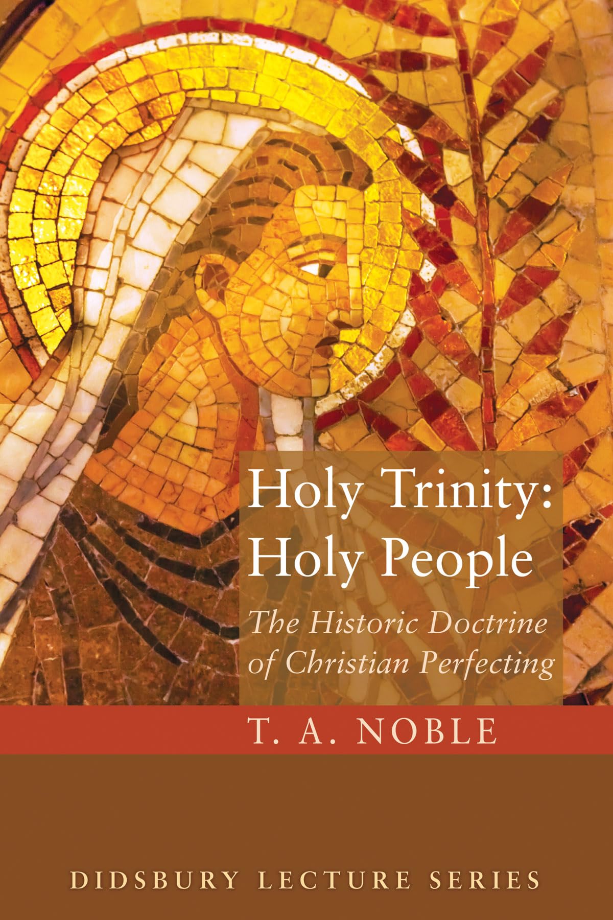 Holy Trinity: Holy People (Didsbury Lectures),Used