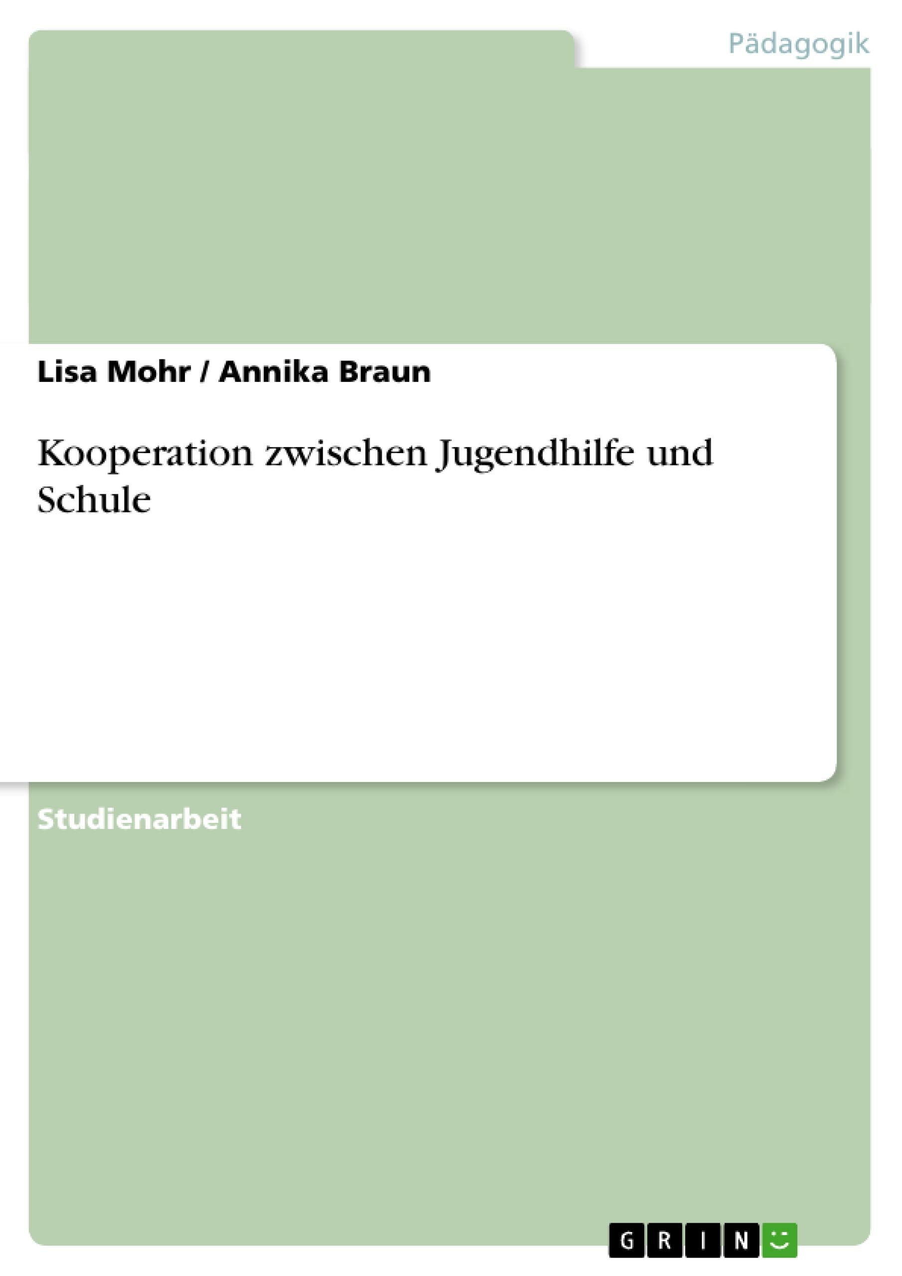 Kooperation Zwischen Jugendhilfe Und Schule (German Edition),Used