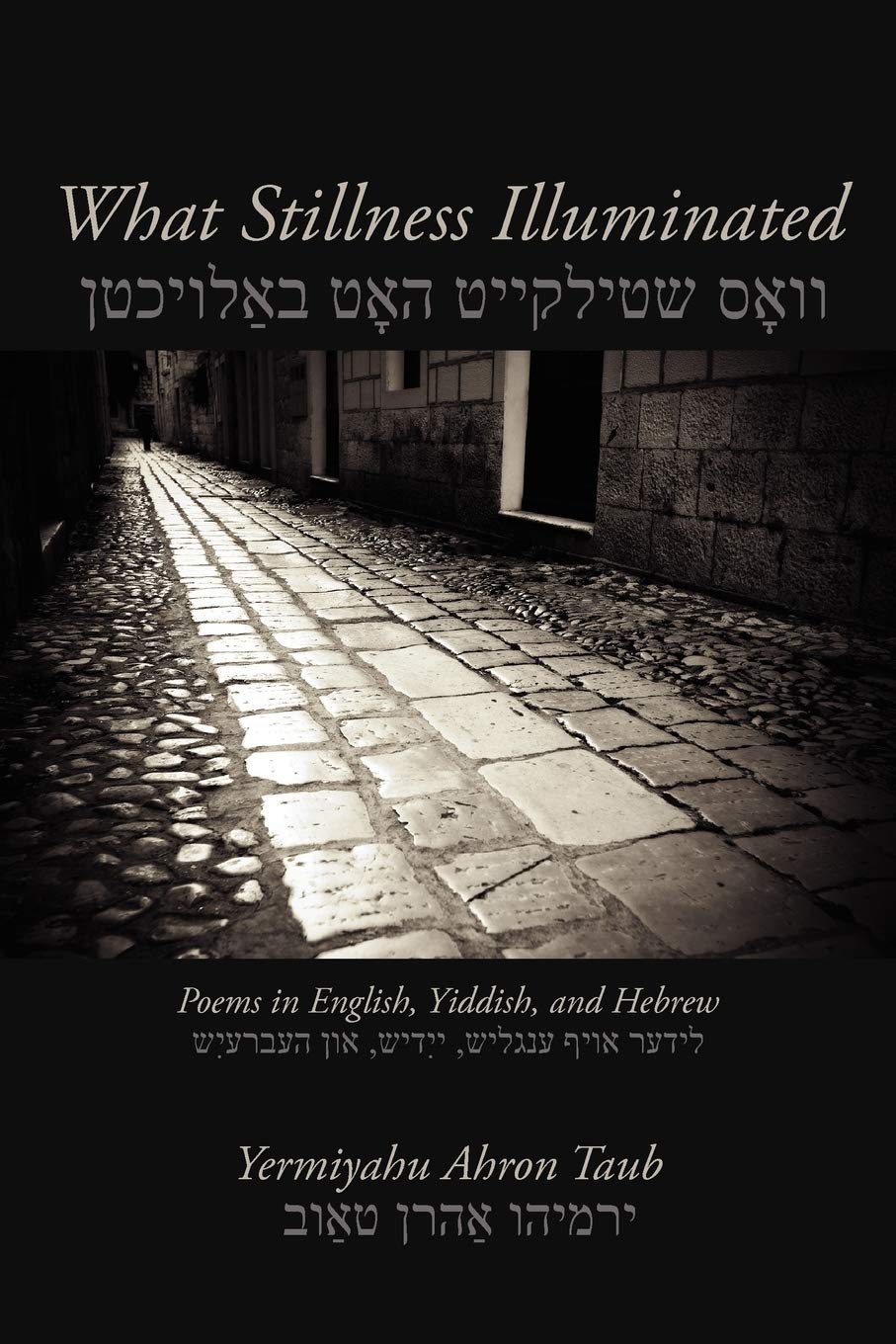 What Stillness Illuminated: Poems in English, Yiddish, and Hebrew (Free Verse Editions),Used