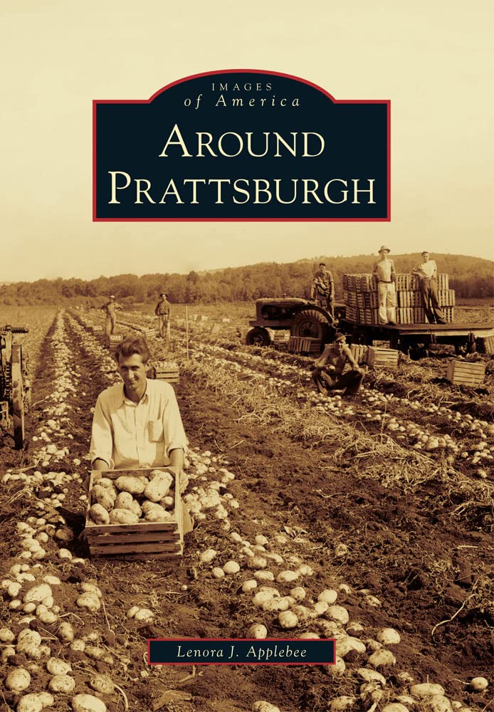 Around Prattsburgh (Images of America),Used