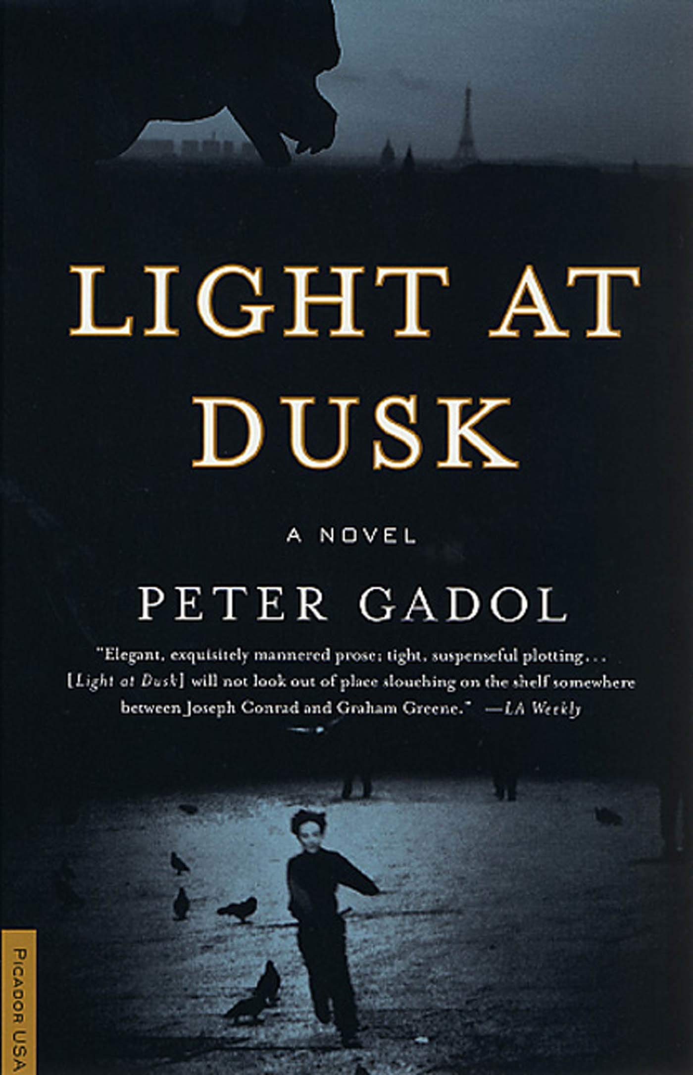 Light at Dusk: A Novel,Used