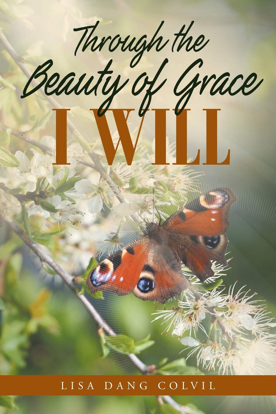 Through the Beauty of Grace I Will,Used