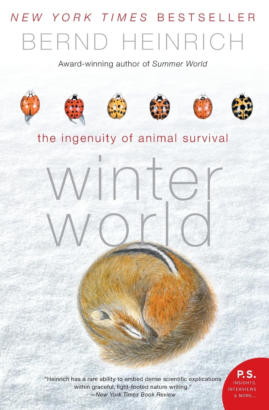 Winter World: The Ingenuity Of Animal Survival