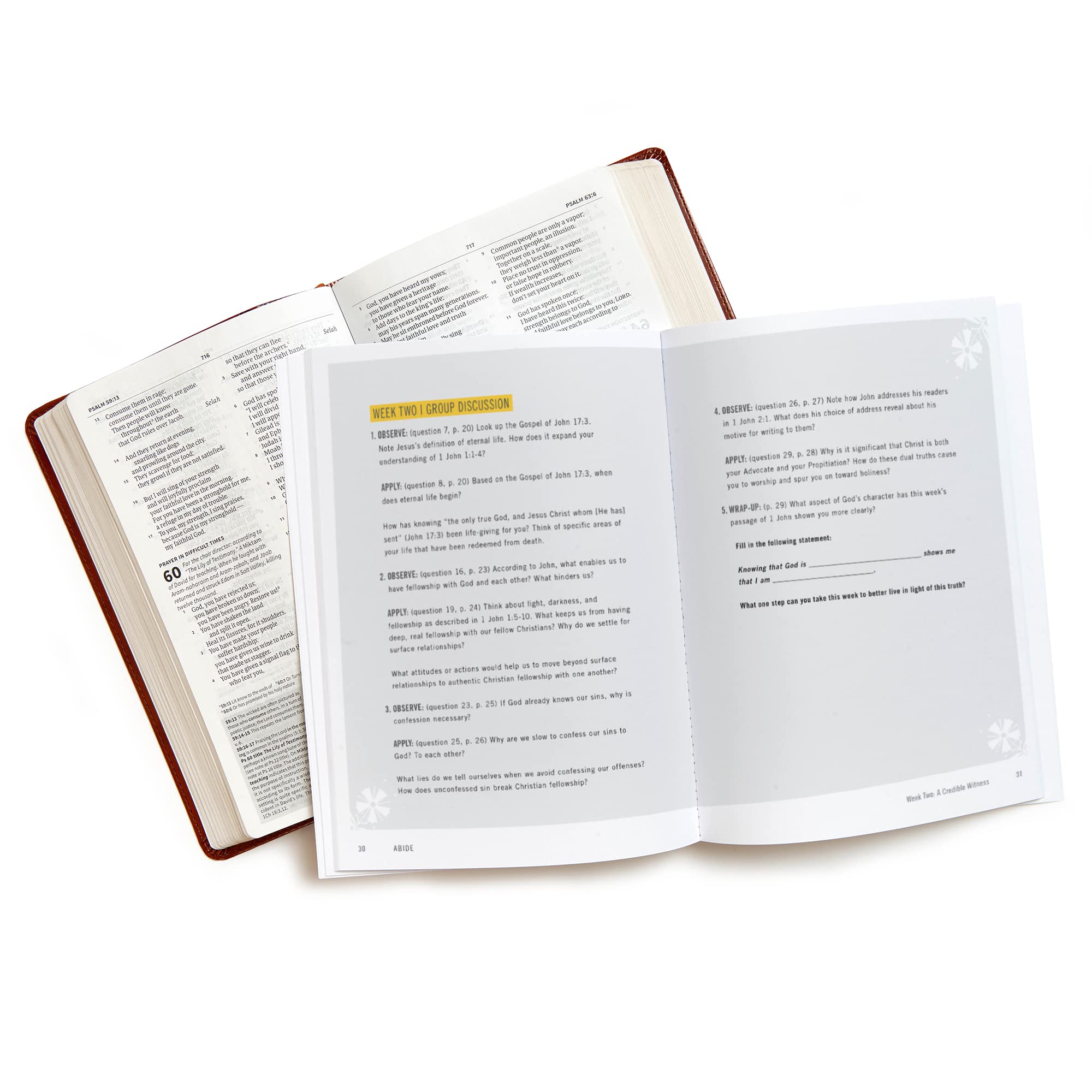 Abide Bible Study Book with Video Access: A Study of 1, 2, and 3 John,New