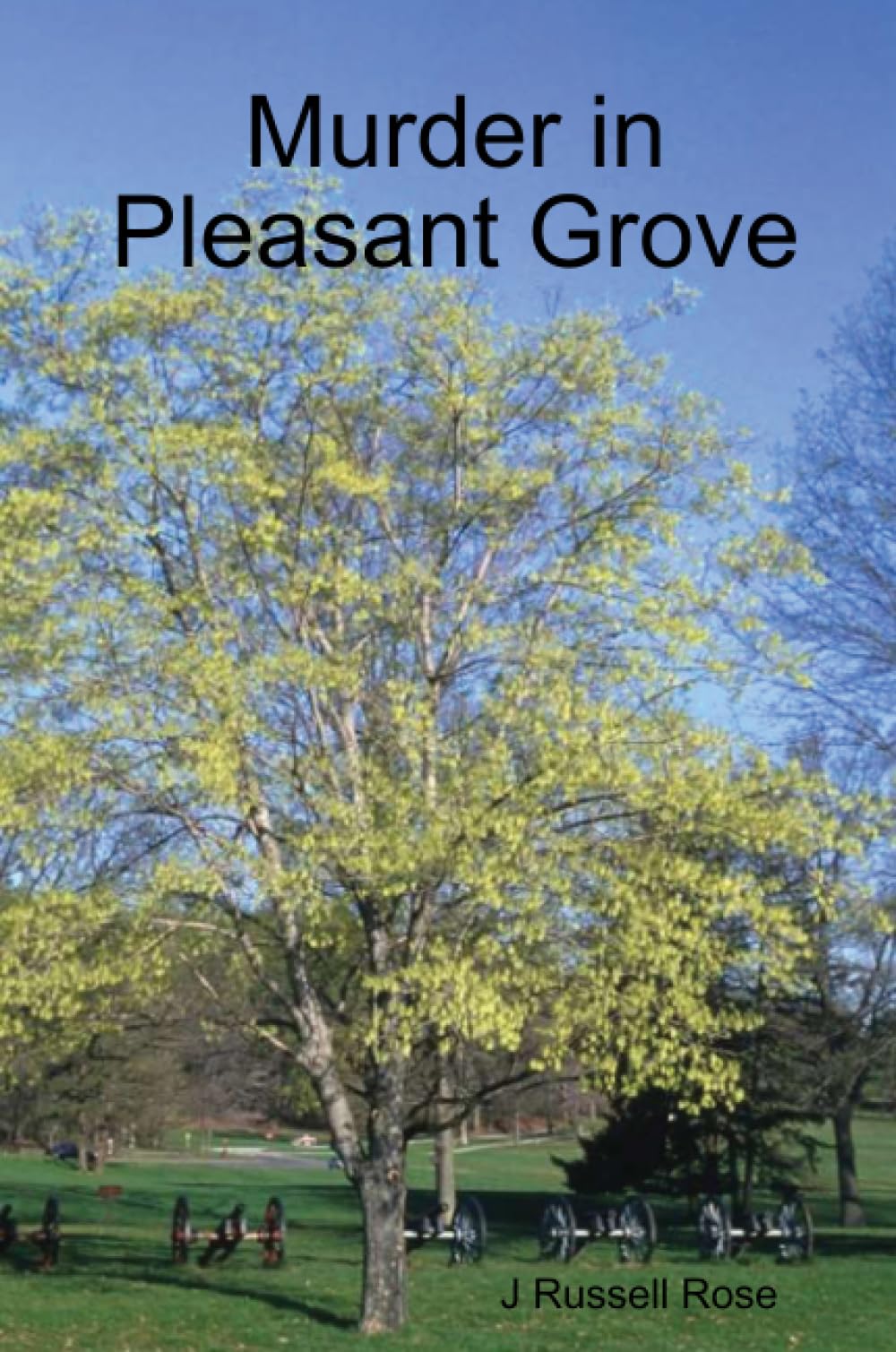 Murder In Pleasant Grove,New