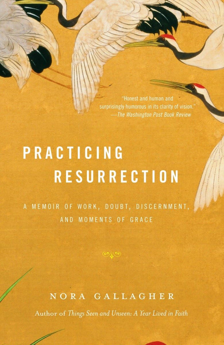 Practicing Resurrection: A Memoir of Work, Doubt, Discernment, and Moments of Grace,Used