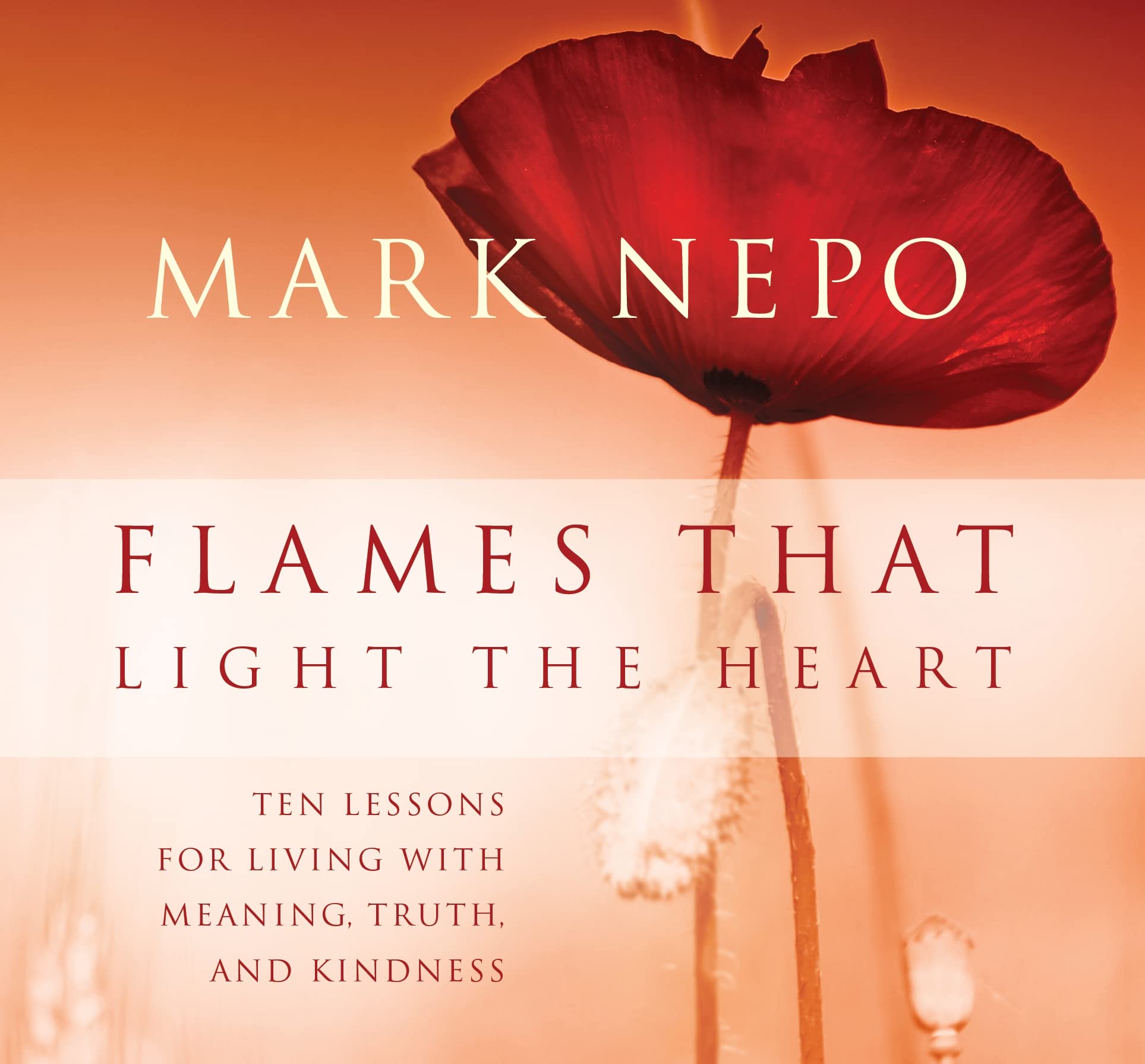 Flames That Light the Heart: Ten Lessons for Living with Meaning, Truth, and Kindness,Used