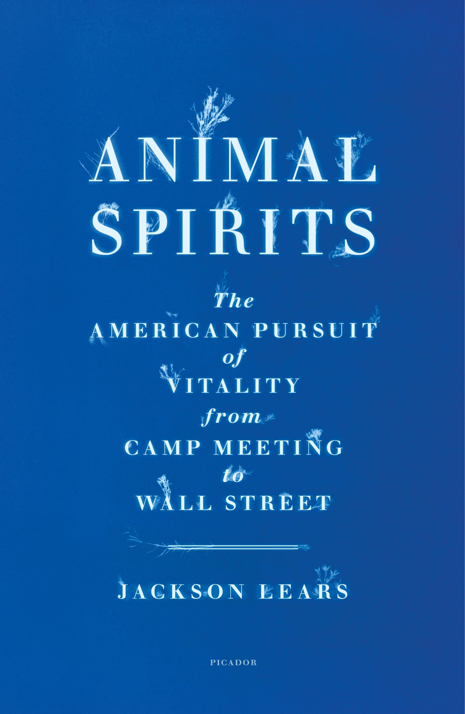 Animal Spirits: The American Pursuit Of Vitality From Camp Meeting To Wall Street