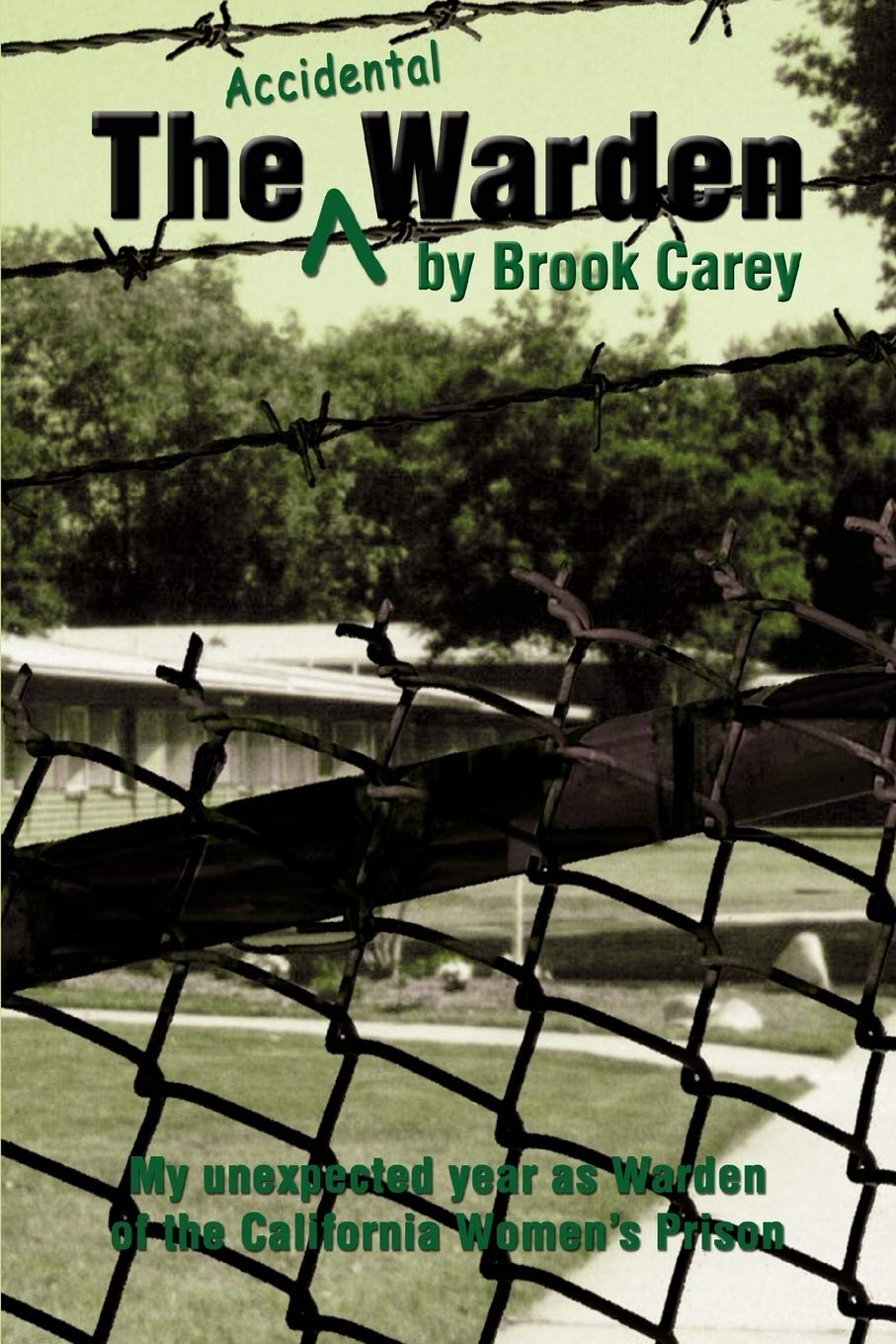 The Accidental Warden: My unexpected year as Warden of the California Women's Prison,New