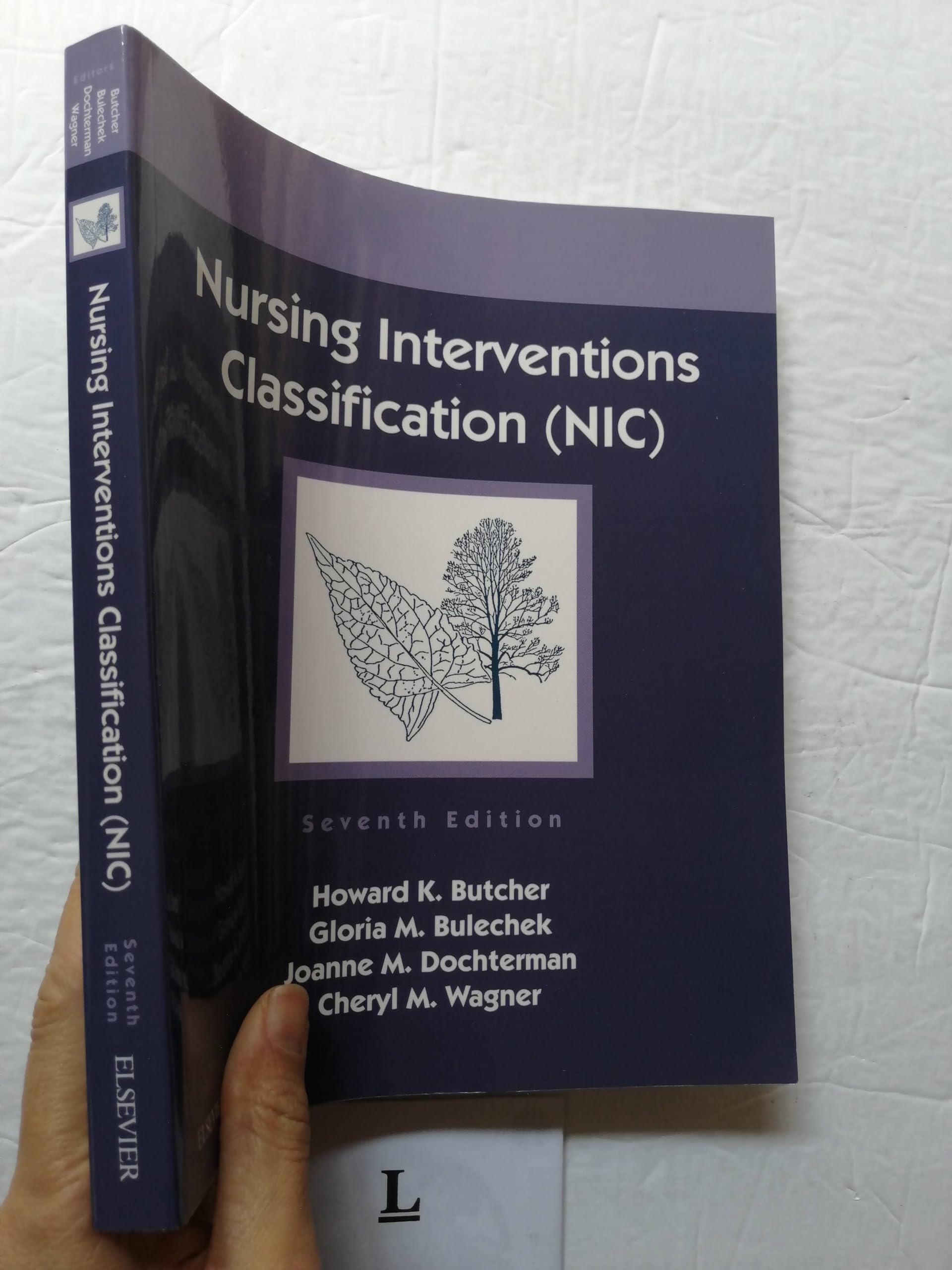 Clinical Decision Making: Case Studies in Psychiatric Nursing,Used